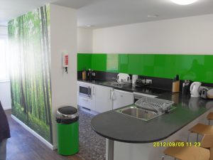 Work Gallery
